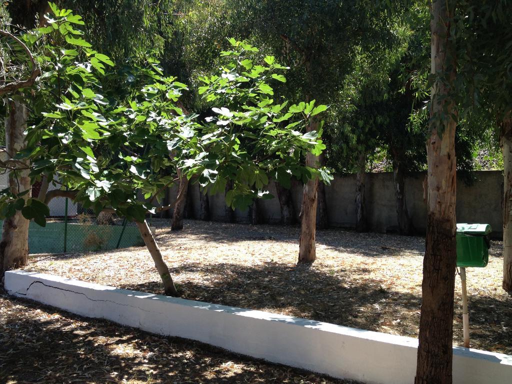 Camping B&B Gioiosa Gioiosa Marea Ngoại thất bức ảnh